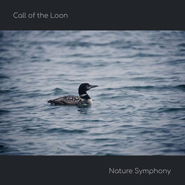Album cover of Call of the Loon