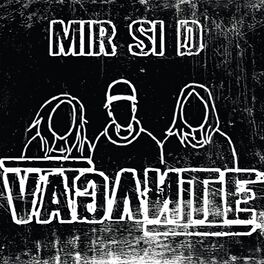 Album cover of Mir si d Vagante