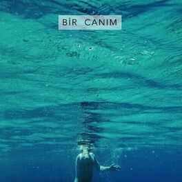 Album cover of Bir Canım