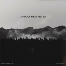 Album cover of Levou Sobre Si (feat. Ane Alma)