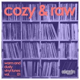 Album cover of Cozy & Raw, Vol. 01