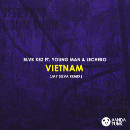 Album cover of Vietnam (Jay Silva Remix)