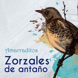 Album cover of Zorzales de Antaño / Amarraditos