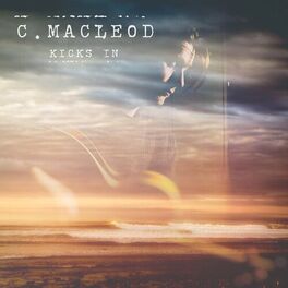 Album cover of Kicks In