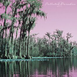 Album cover of Polluted Paradise 2