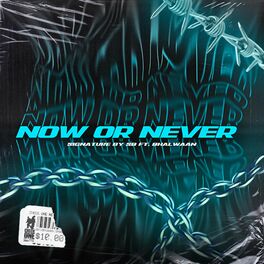 Album cover of Now or Never