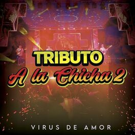 Album cover of Tributo a La Chicha 2