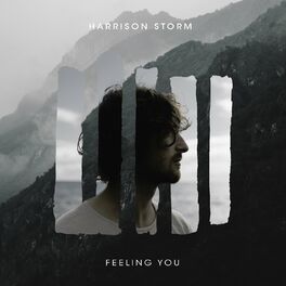 Album cover of Feeling You