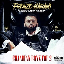 Album cover of Chaabian Boyz, Vol. 2