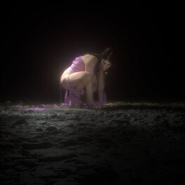 Album cover of SGSY