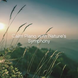 Album cover of Calm Piano with Nature's Symphony (Serene Water Sounds for Meditation and Sleep)