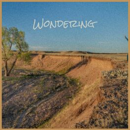 Album cover of Wondering