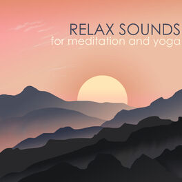 Healing Vibes: Reiki Relaxation And Serenity For The Mindful Soul