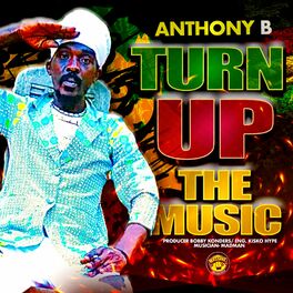 Album cover of Turn Up The Music