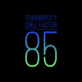 Album cover of Chill Factor 85