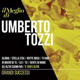 Album cover of Il Meglio Di Umberto Tozzi: Grandi Successi