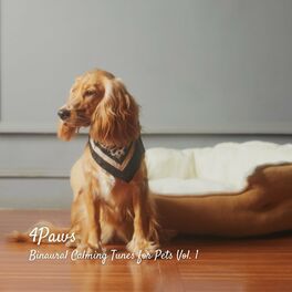 Album cover of 4Paws: Binaural Calming Tunes for Pets Vol. 1