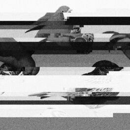 Album cover of Mirror Beak