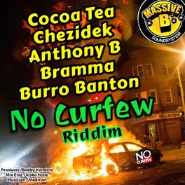 Album cover of No Curfew Riddim