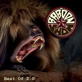 Album cover of Best of 2.0