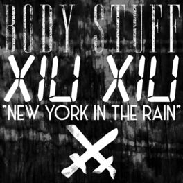 Album cover of New York in the Rain