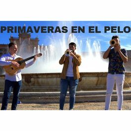 Album cover of Primaveras en el Pelo