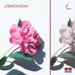 Album cover of Ataeinaine