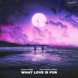 Album cover of What Love is For (feat. Daniela Nicole)