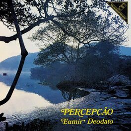 Album cover of Percepção