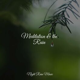 Album cover of Meditation & the Rain