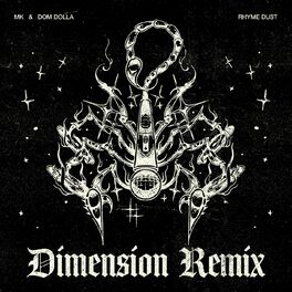 Album cover of Rhyme Dust (Dimension Remix)