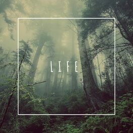 Album cover of Life