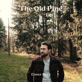Album cover of The Old Pine