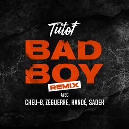 Album cover of Bad Boy (Remix)