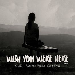 Album cover of Wish You Were Here (Remix)