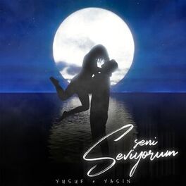 Album cover of Seni Seviyorum
