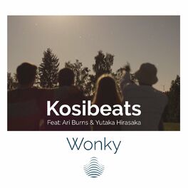 Album cover of Wonky