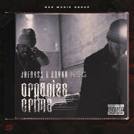 Album cover of Organize Crime