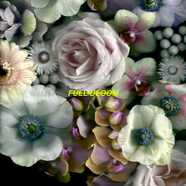 Album cover of Full Bloom