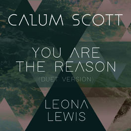 Album picture of You Are The Reason (Duet Version)