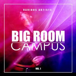 Album cover of Big Room Campus, Vol. 1