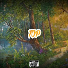 Album cover of TOP