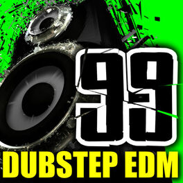 Album cover of Electronic Dance Music EDM 2013