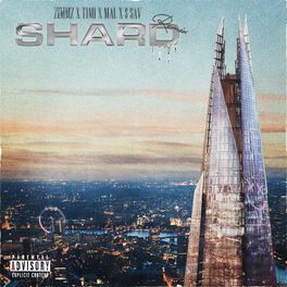 Album cover of Shard Rmx