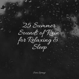 Album cover of 25 Summer Sounds of Rain for Relaxing & Sleep