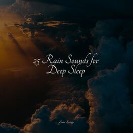 Album cover of 25 Rain Sounds for Deep Sleep