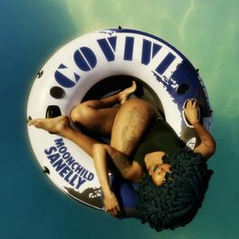 Album cover of Covivi