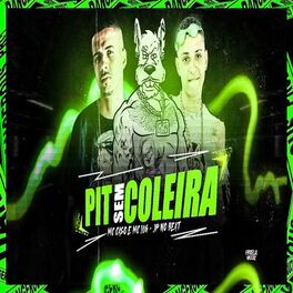 Album cover of Pit Sem Coleira (Brega Funk)