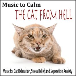Album cover of Music to Calm the Cat from Hell: Music for Cat Relaxation, Stress Relief, And Seperation Anxiety