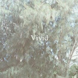Album cover of Vivid